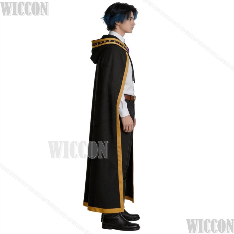 Wistoria Wand And Sword Will S - Anime Cosplay Sword 评论和价格