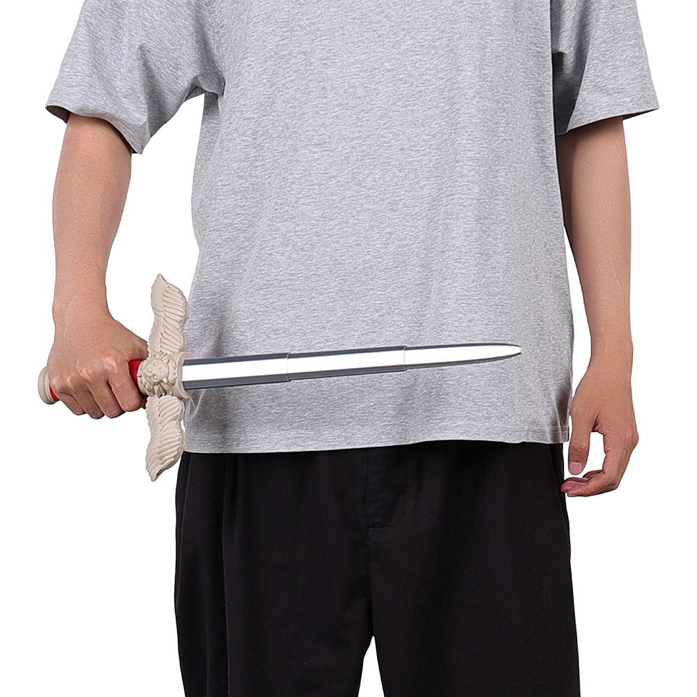 Disguise Laios Swords Ornament - Anime Cosplay Sword 评论和价格